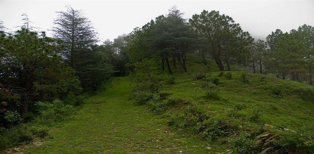 Aamod Resort Shimla Exterior foto