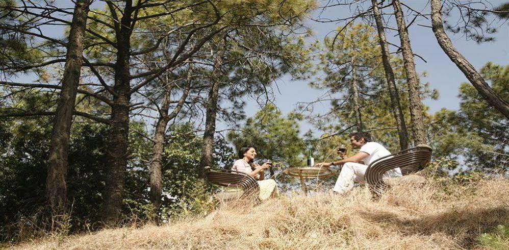 Aamod Resort Shimla Exterior foto
