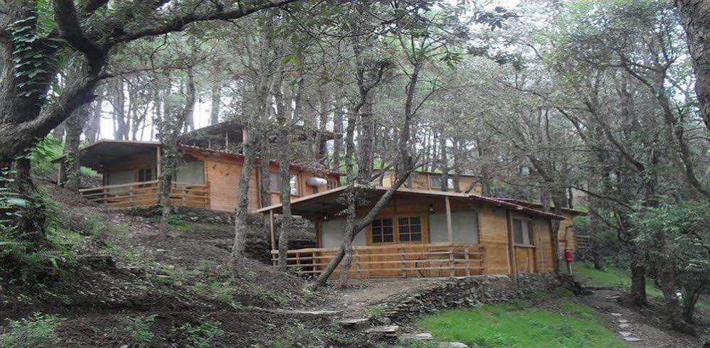 Aamod Resort Shimla Exterior foto